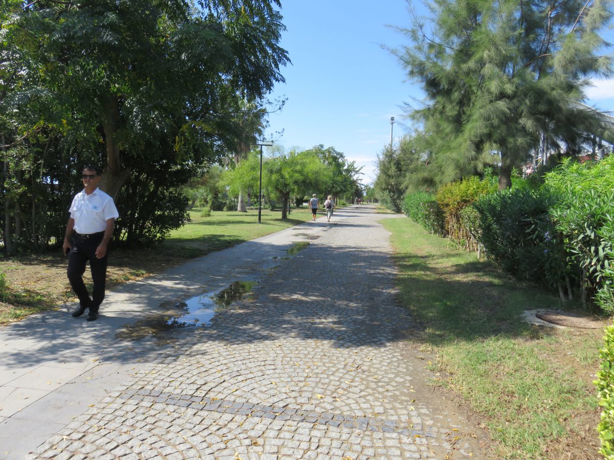 imagini hotel Sentido Trendy Verbena